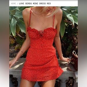 Princess Polly love birds mini dress